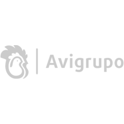 logo-avigrupo.png